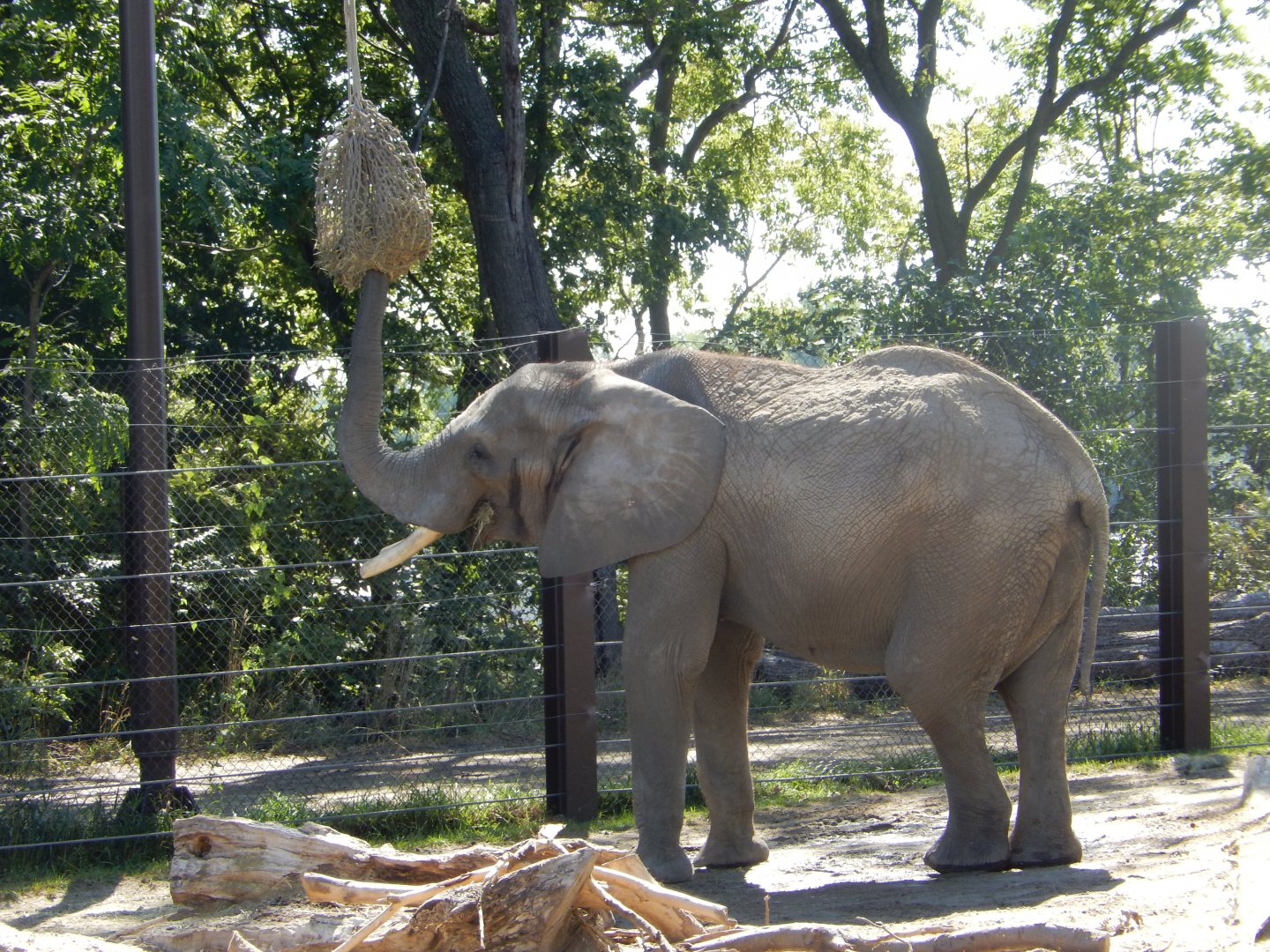 9/13/2020 - Browsin' for Lunch