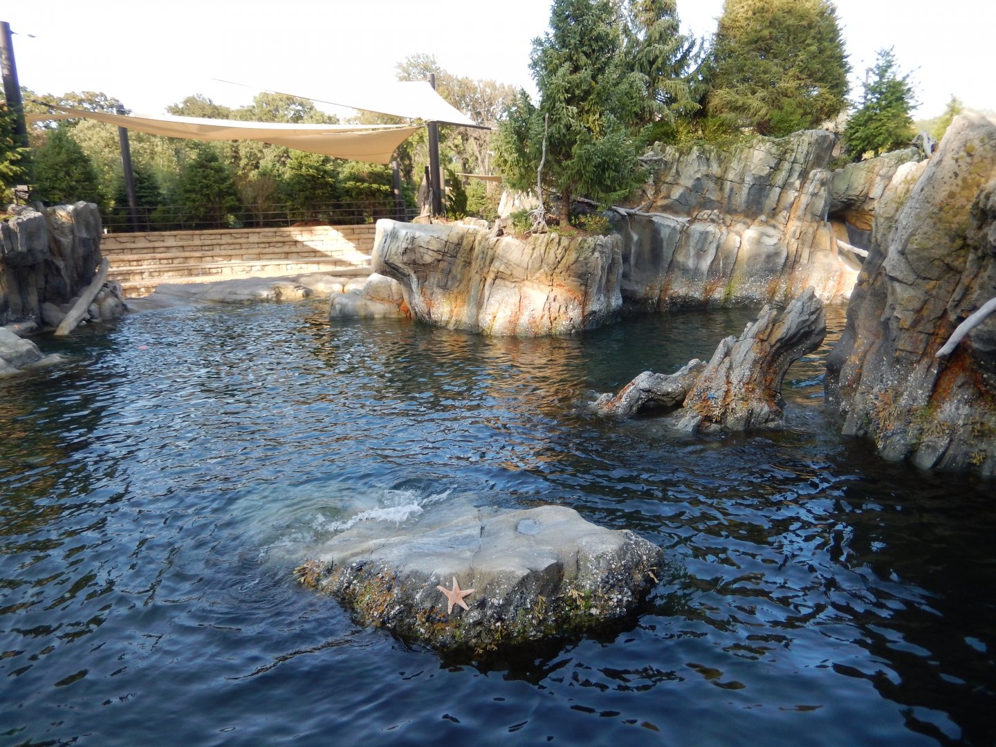 9/13/2020 - California Sea Lion Habitat