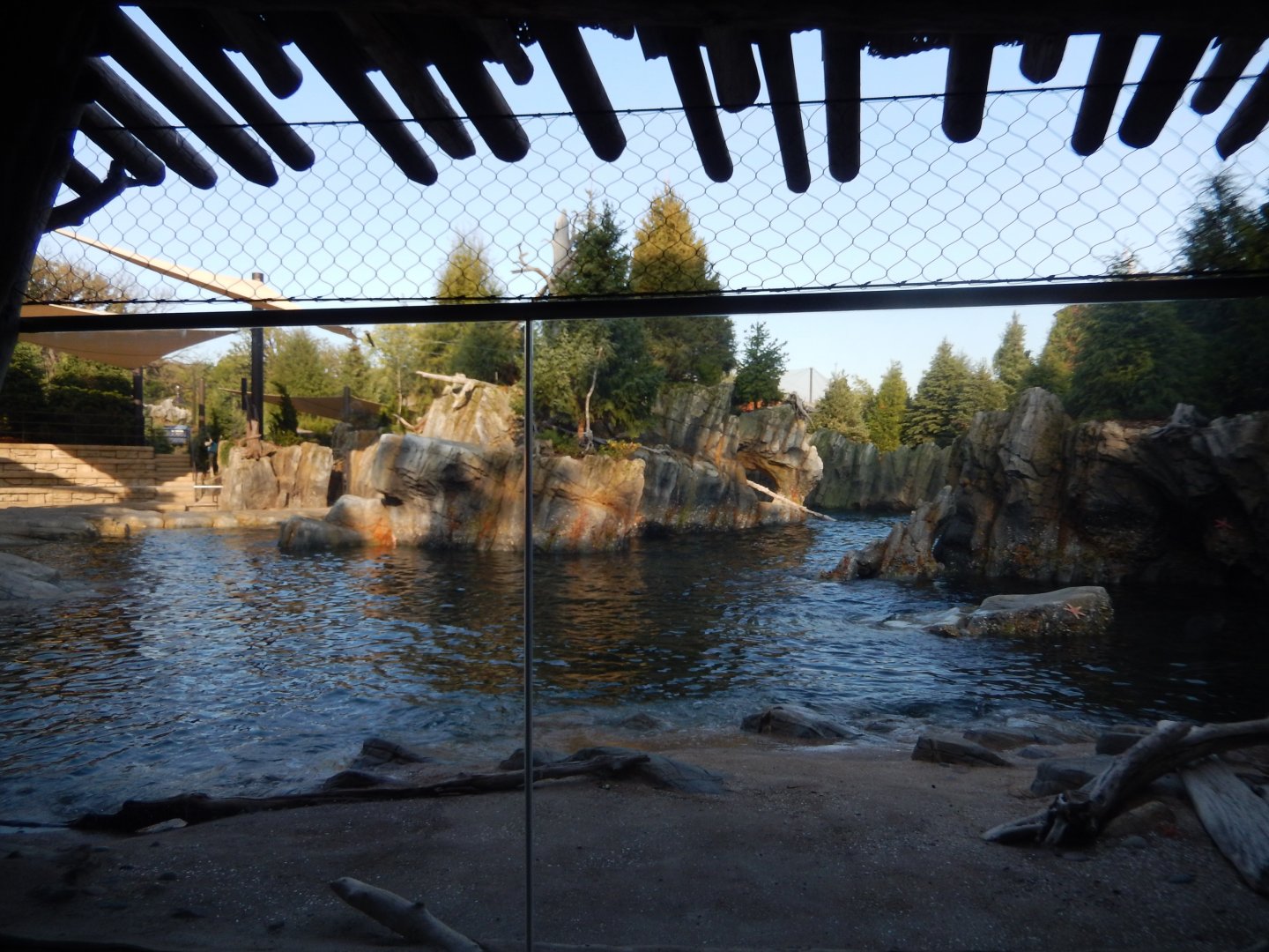 9/13/2020 - California Sea Lion Habitat