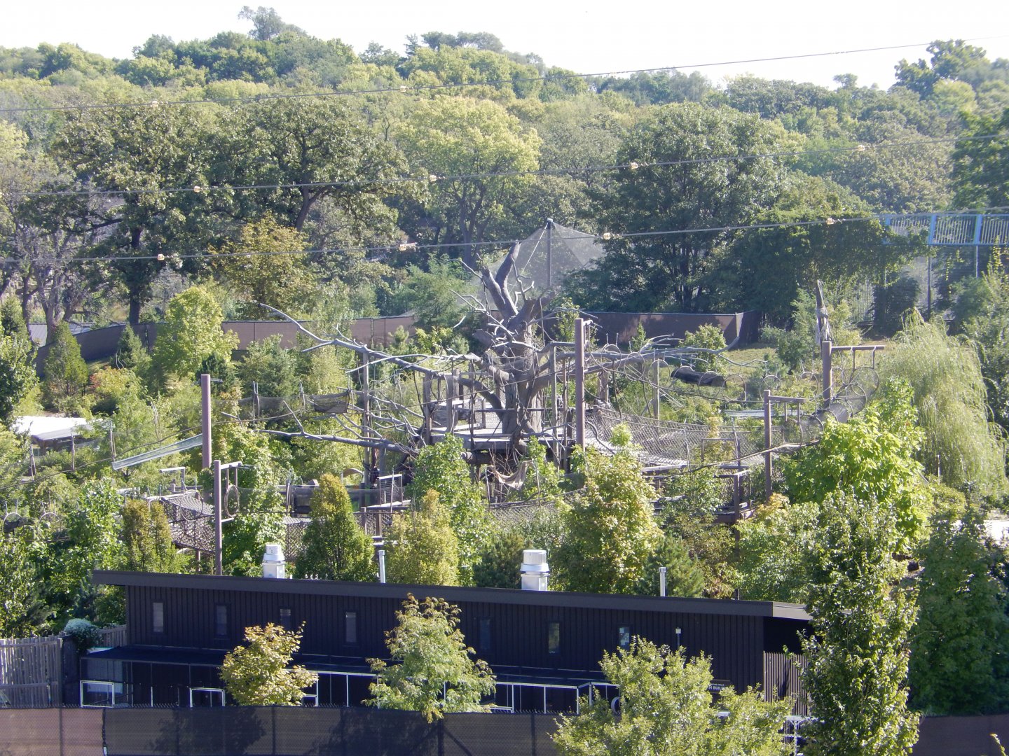 9/13/2020 - Children's Adventure Trails