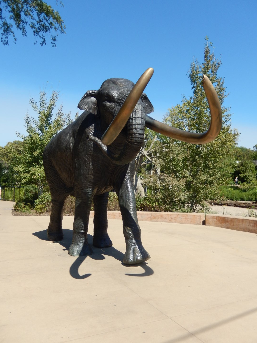 9/13/2020 - Columbian Mammoth Statue