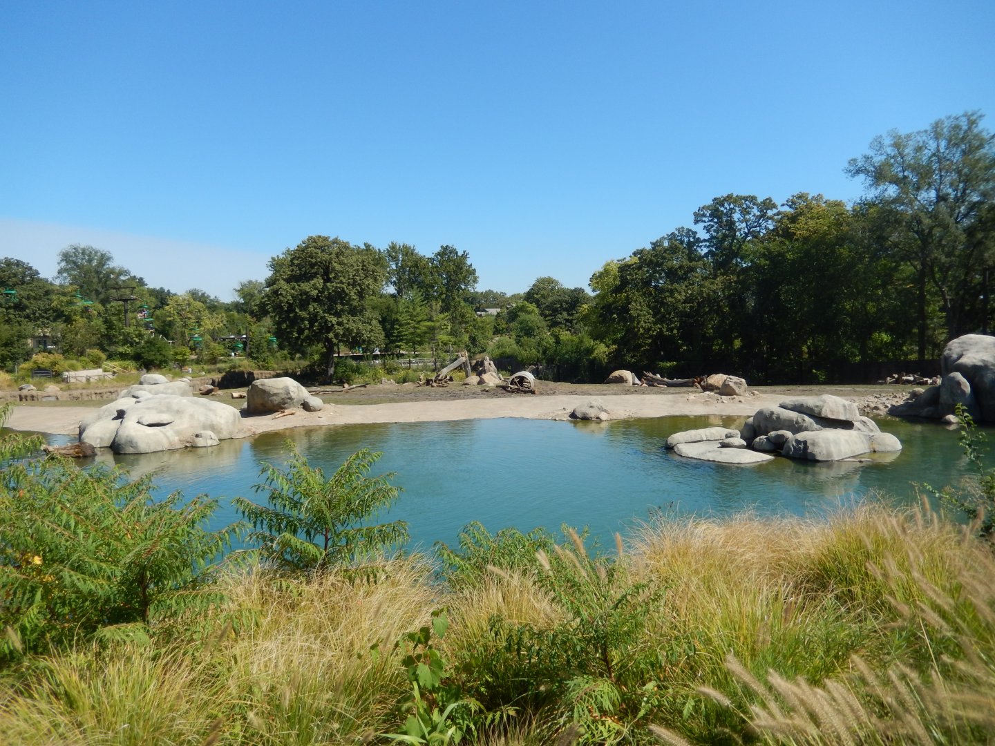 9/13/2020 - Elephant Savanna - Left Third