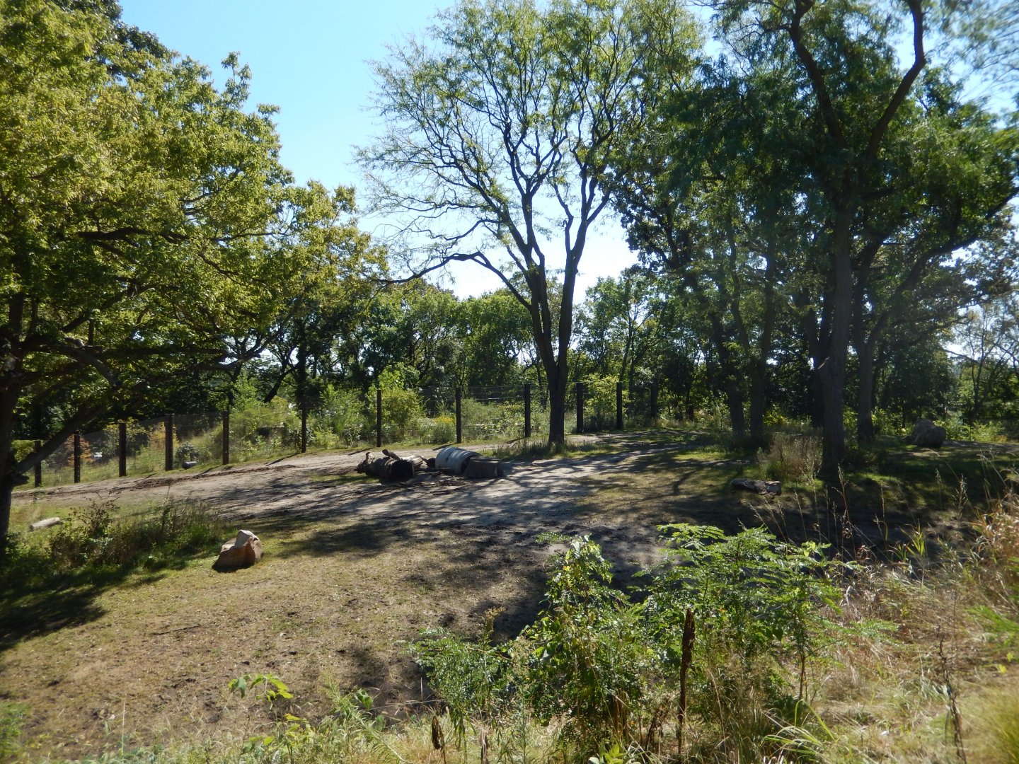 9/13/2020 - Elephant Savanna