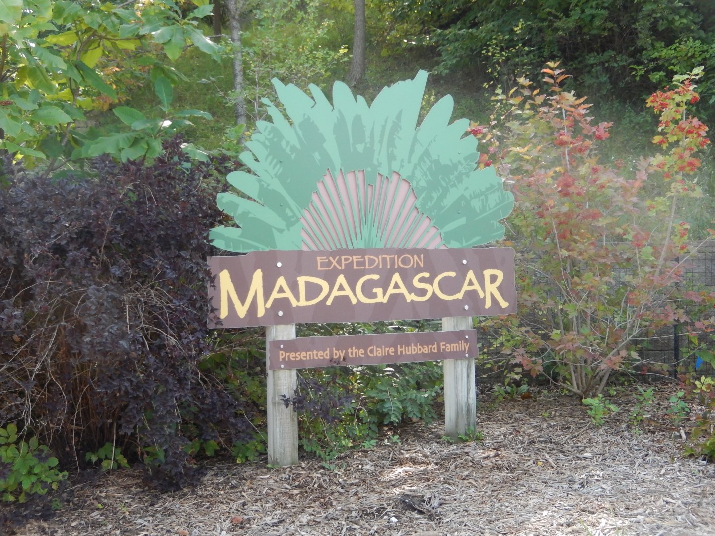 9/13/2020 - Expedition Madagascar Sign