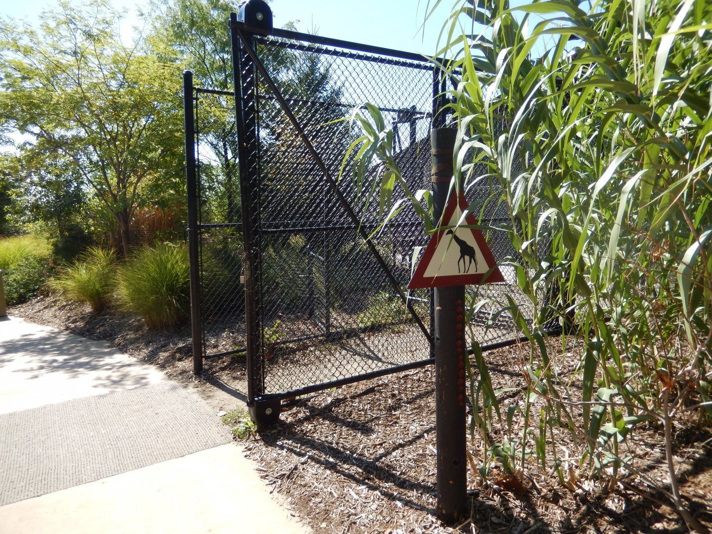 9/13/2020 - Giraffe Crossing Gate