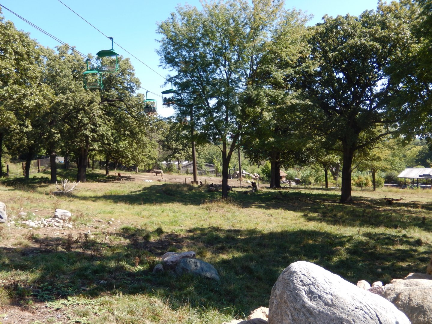 9/13/2020 - Giraffe Savanna - Left Third