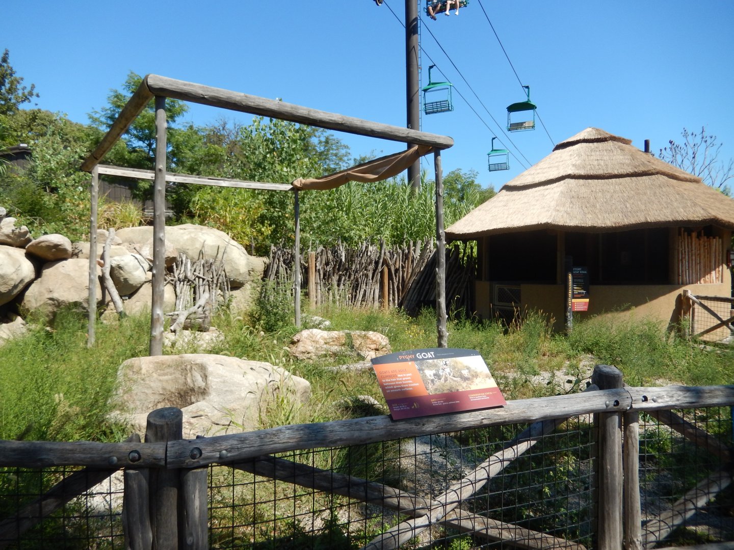 9/13/2020 - Goat Petting Kraal