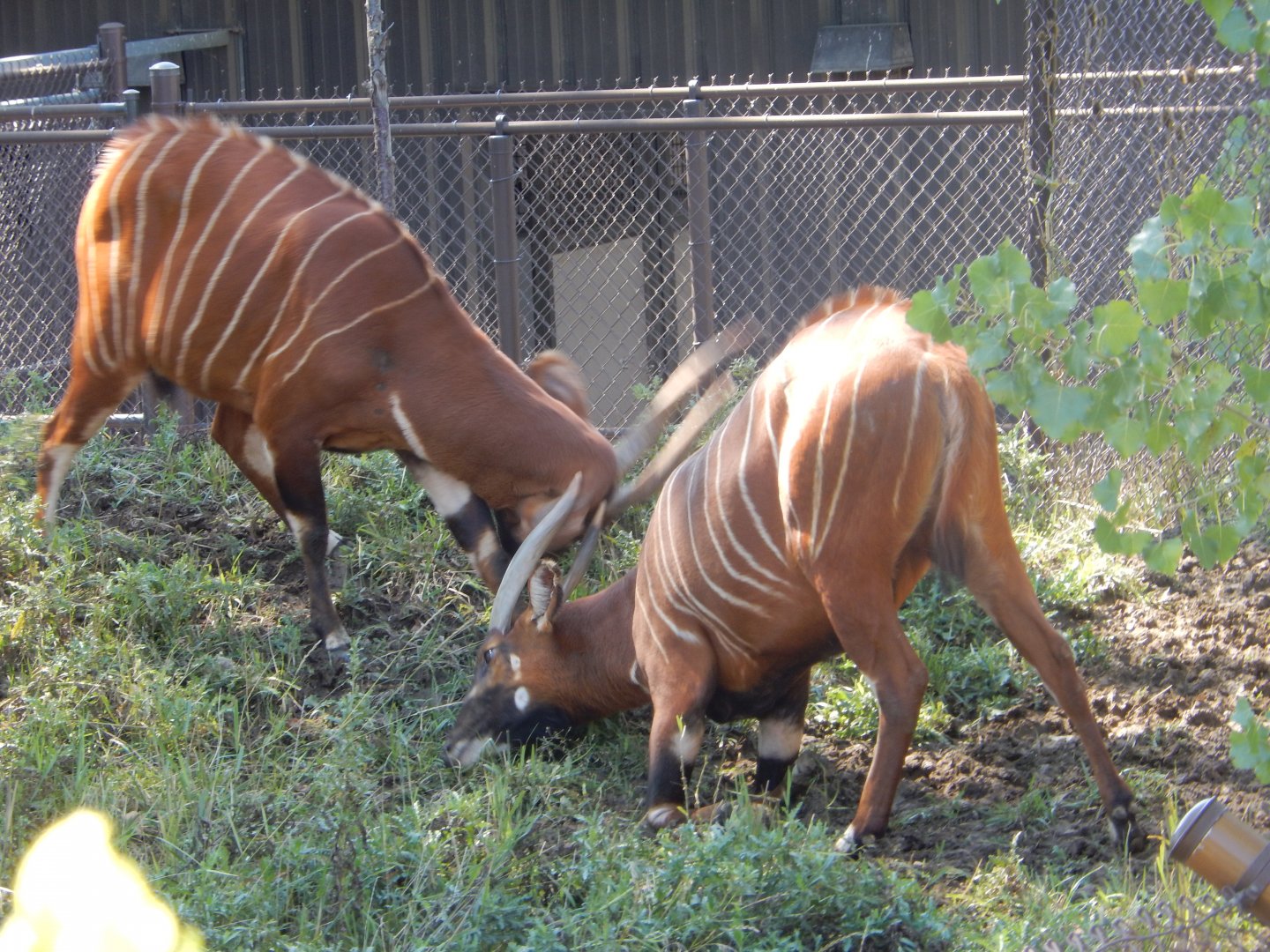 9/13/2020 - Hill Advantage?