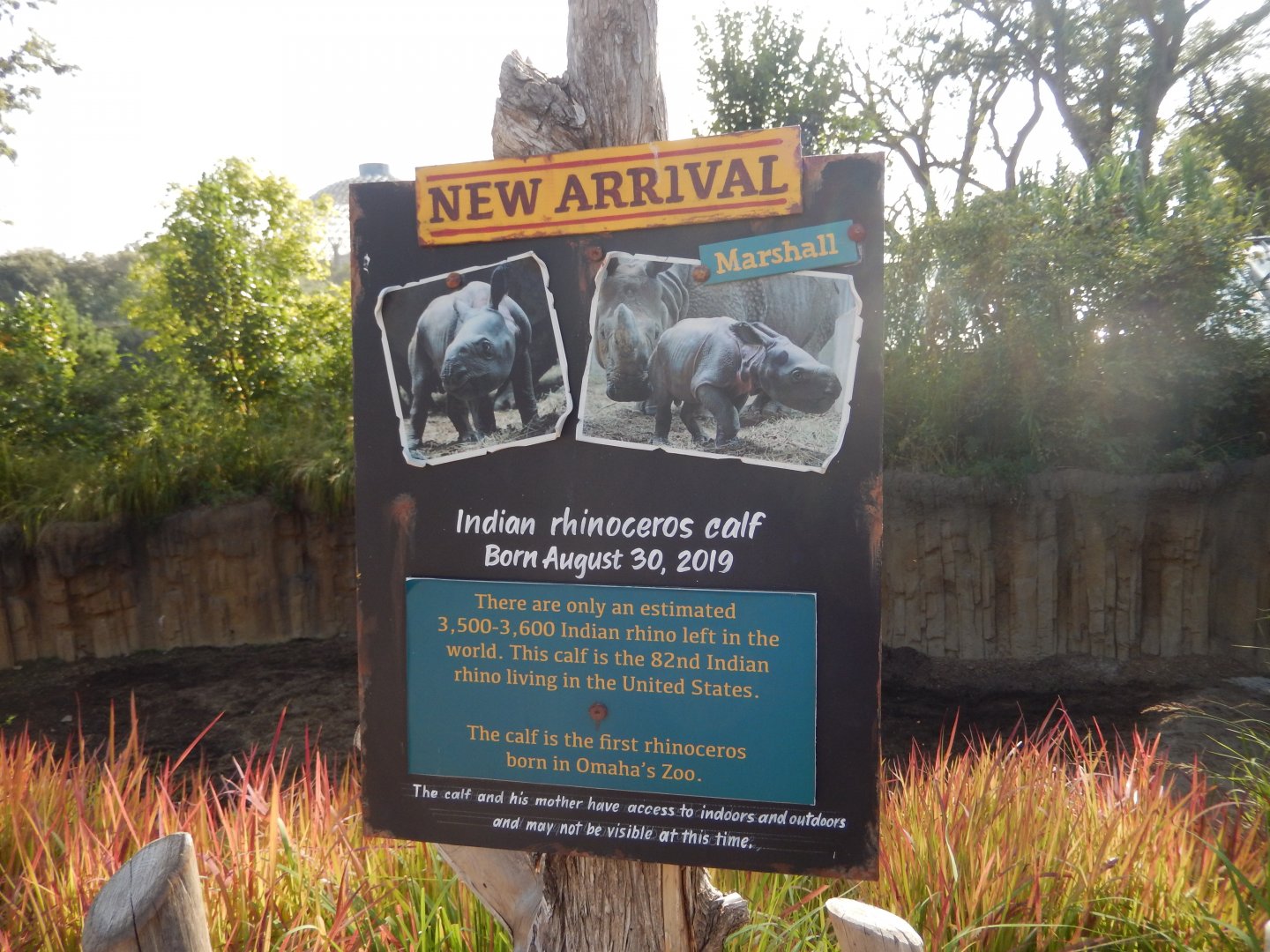 9/13/2020 - Info Sign About Marshall