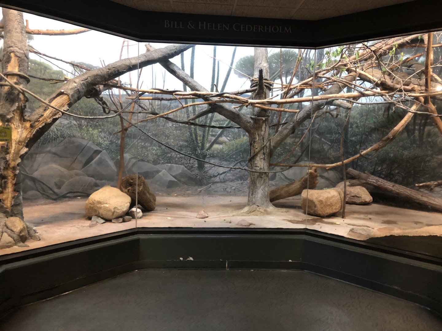 9/13/2020 - Lemur Exhibit