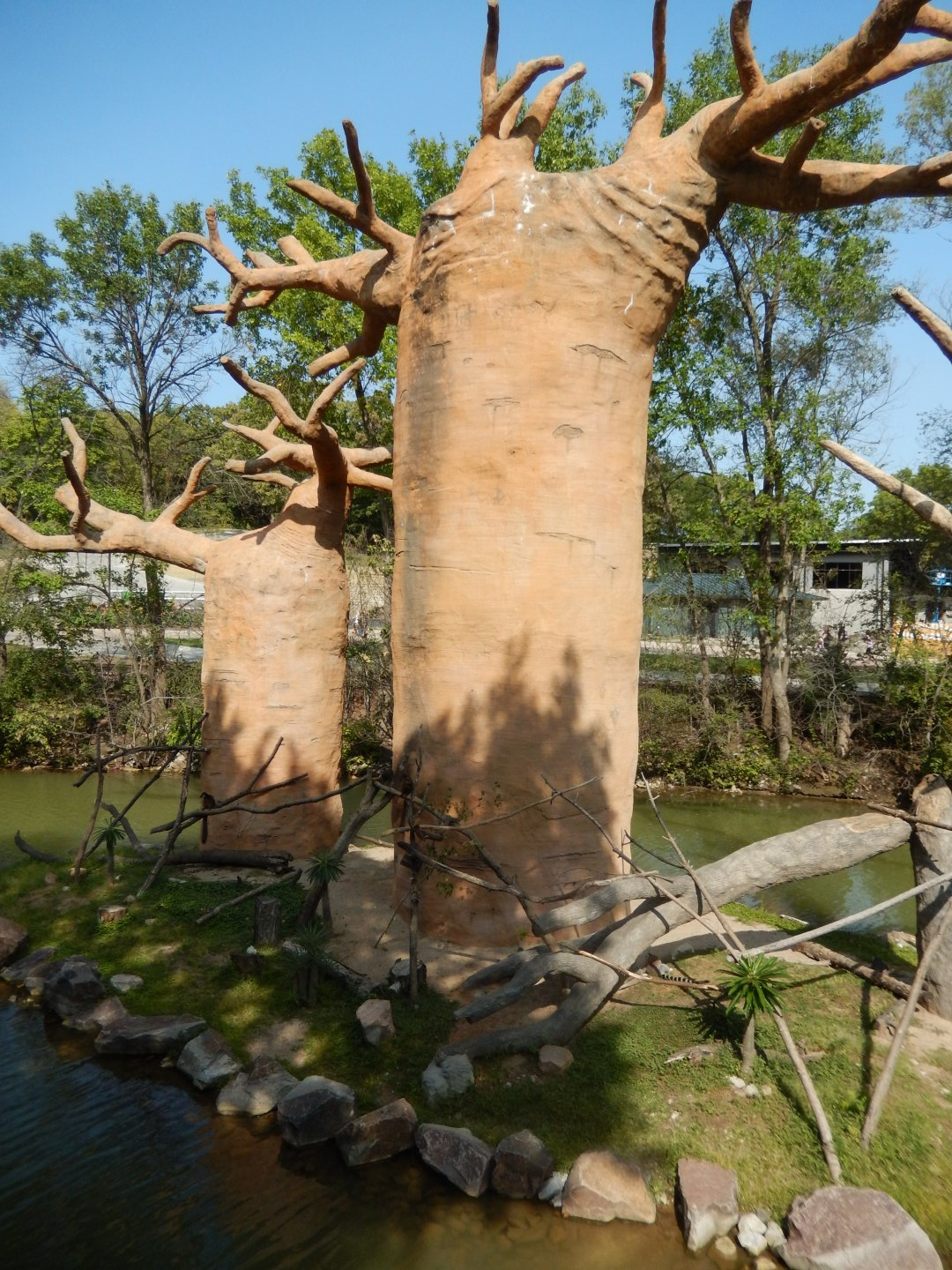 9/13/2020 - Lemur Island