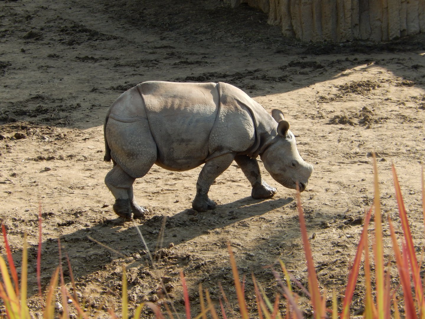 9/13/2020 - Marshall