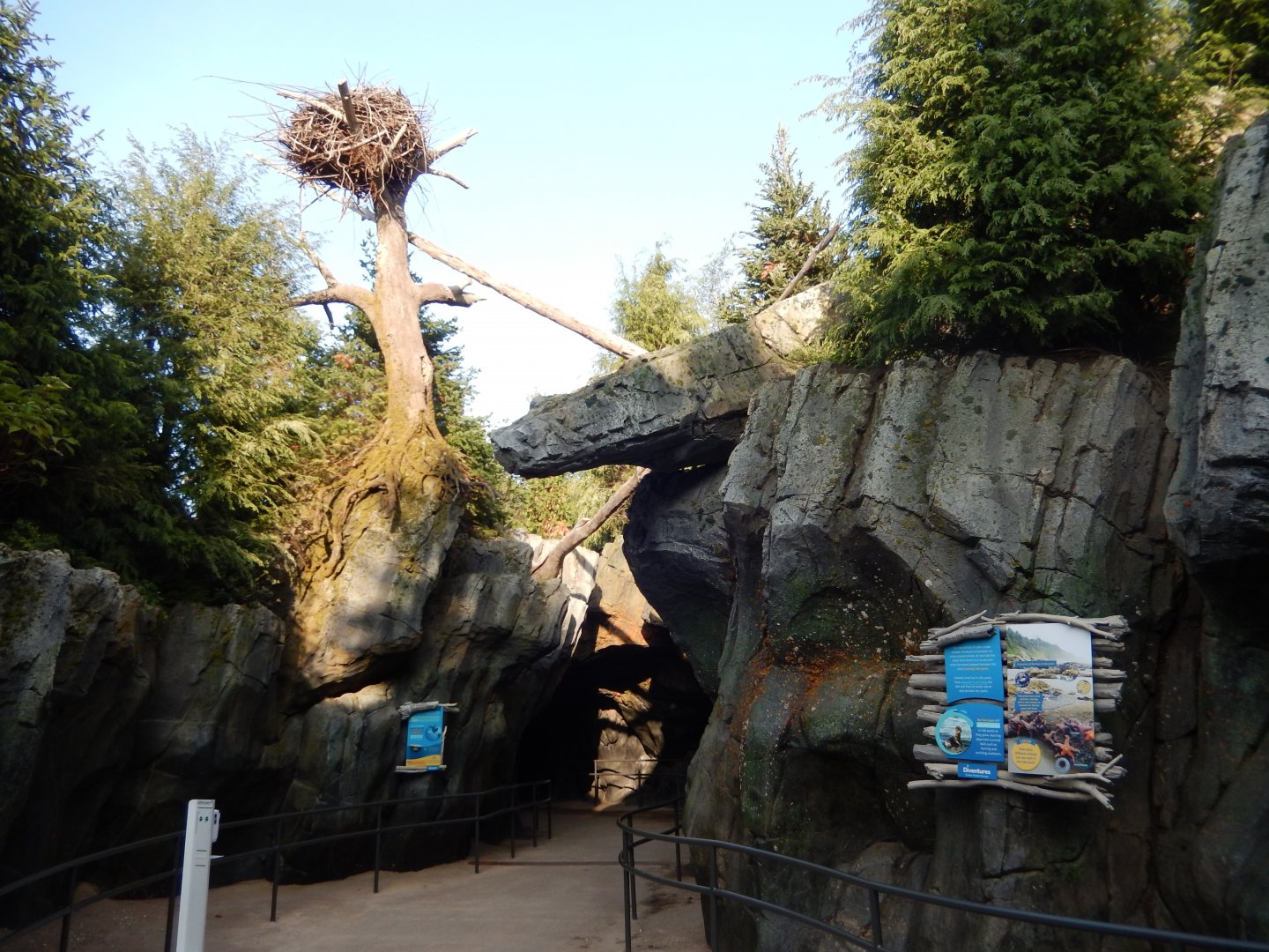 9/13/2020 - Owen Sea Lion Shores View