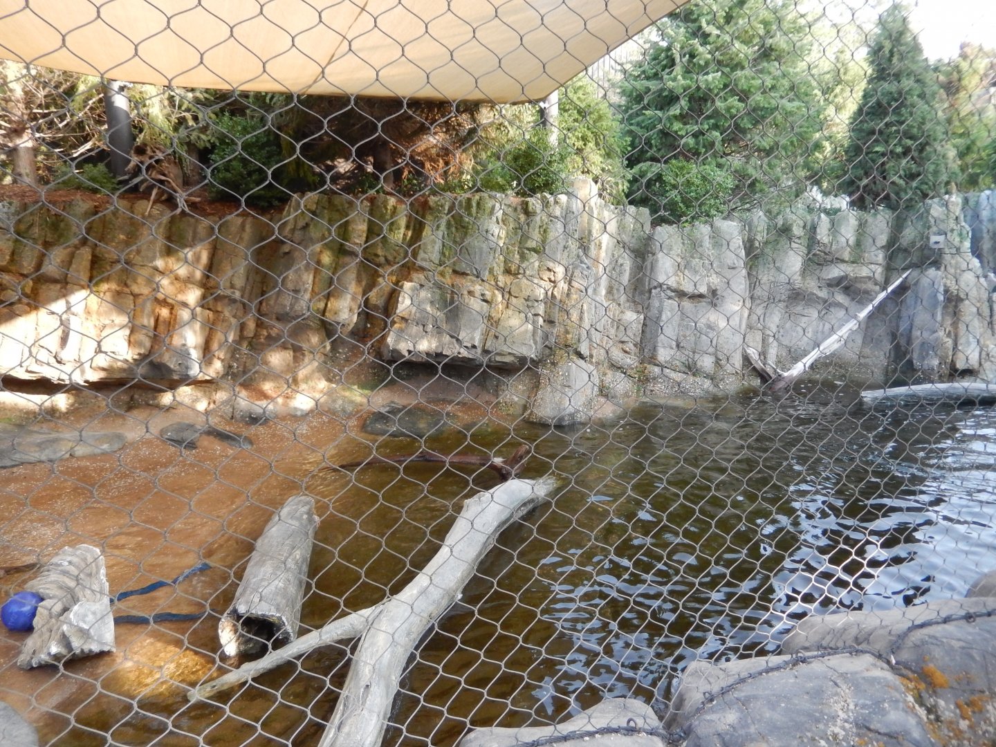 9/13/2020 - Pupping Beach