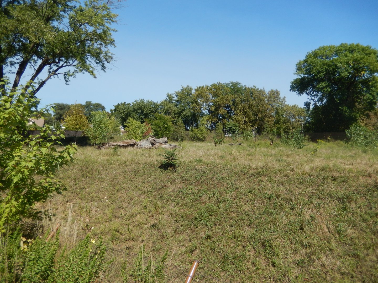 9/13/2020 - Sable Antelope Habitat - Left Side