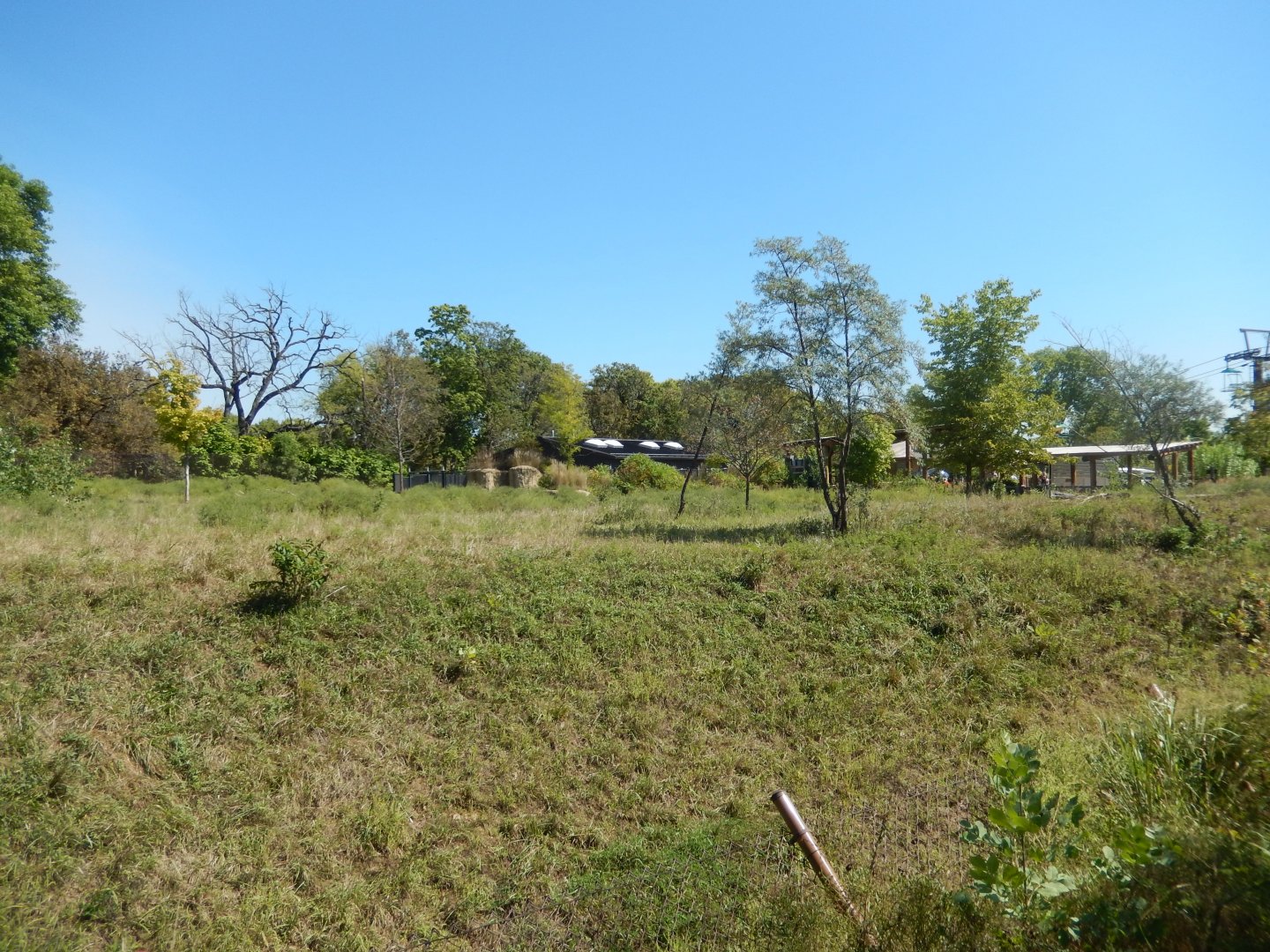9/13/2020 - Sable Antelope Habitat - Right Side