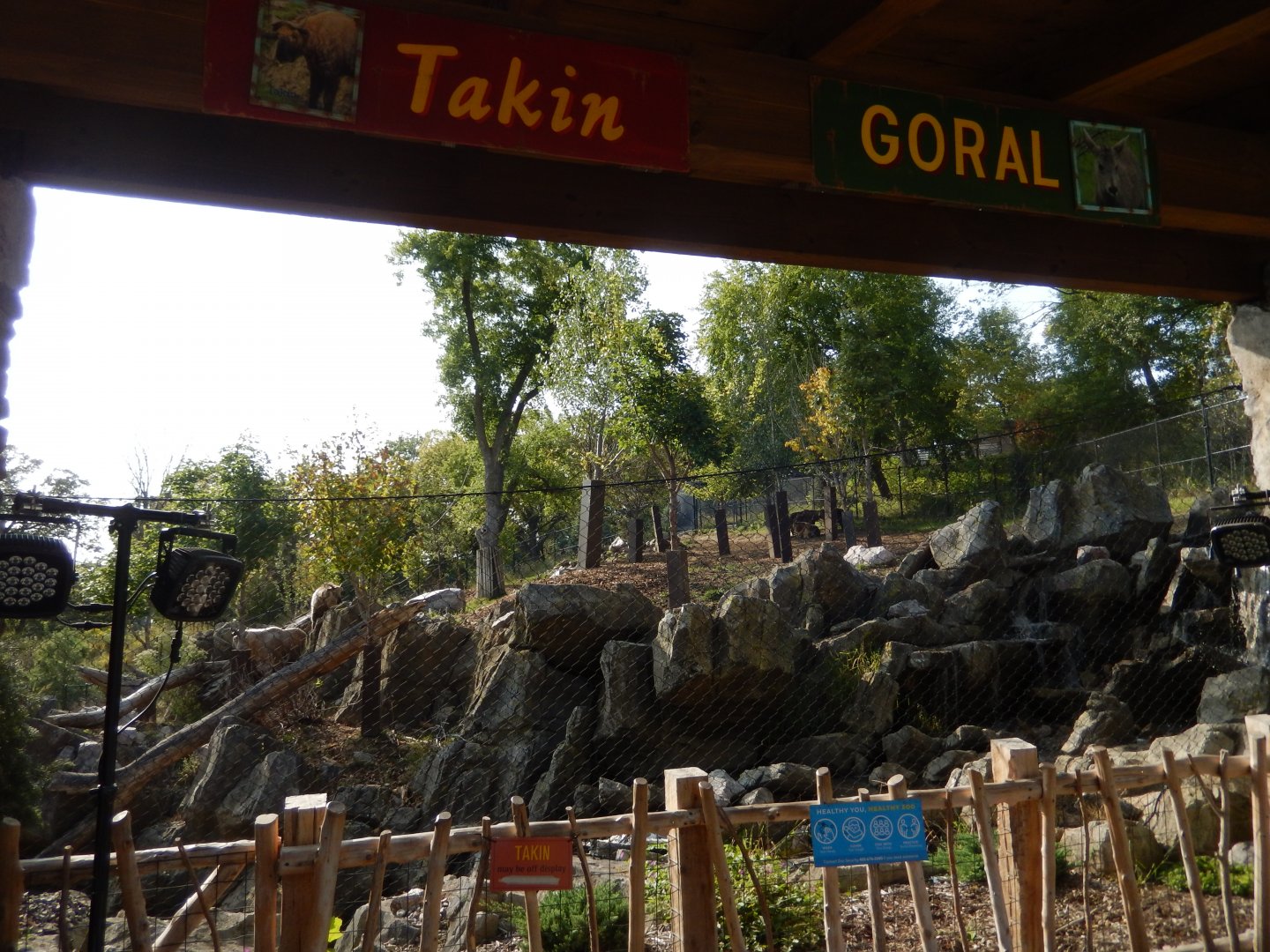 9/13/2020 - Sichuan Takin & Central Chinese Goral Habitat - First Look