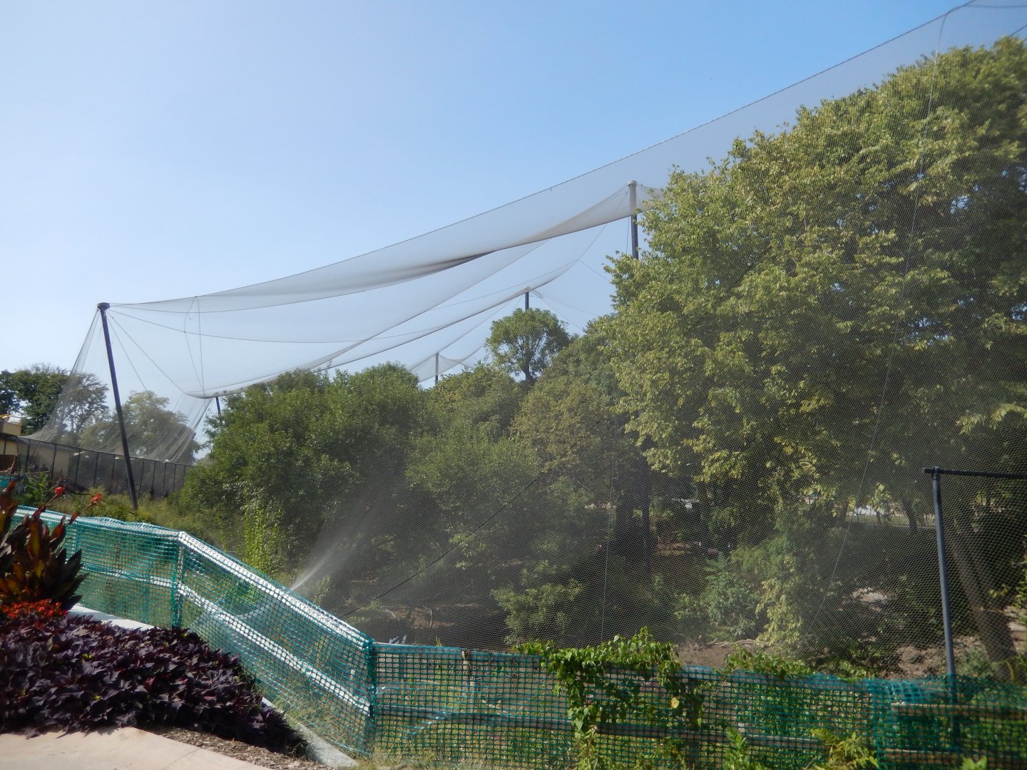 9/13/2020 - Simmons Aviary