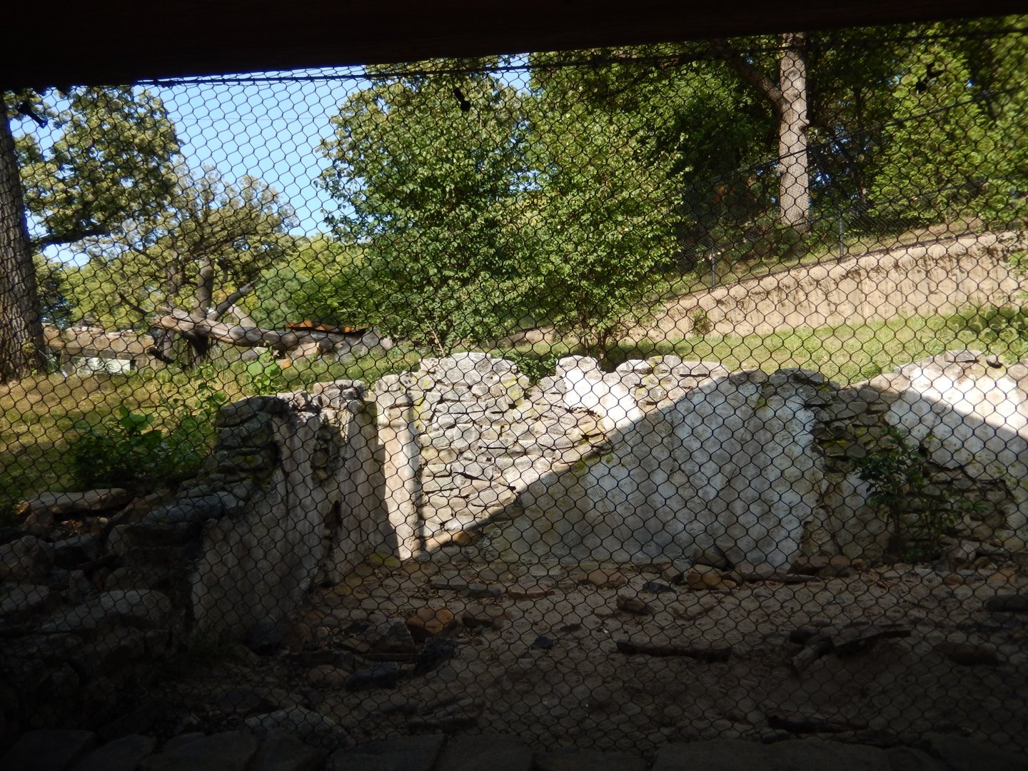 9/13/2020 - Sloth Bear Habitat