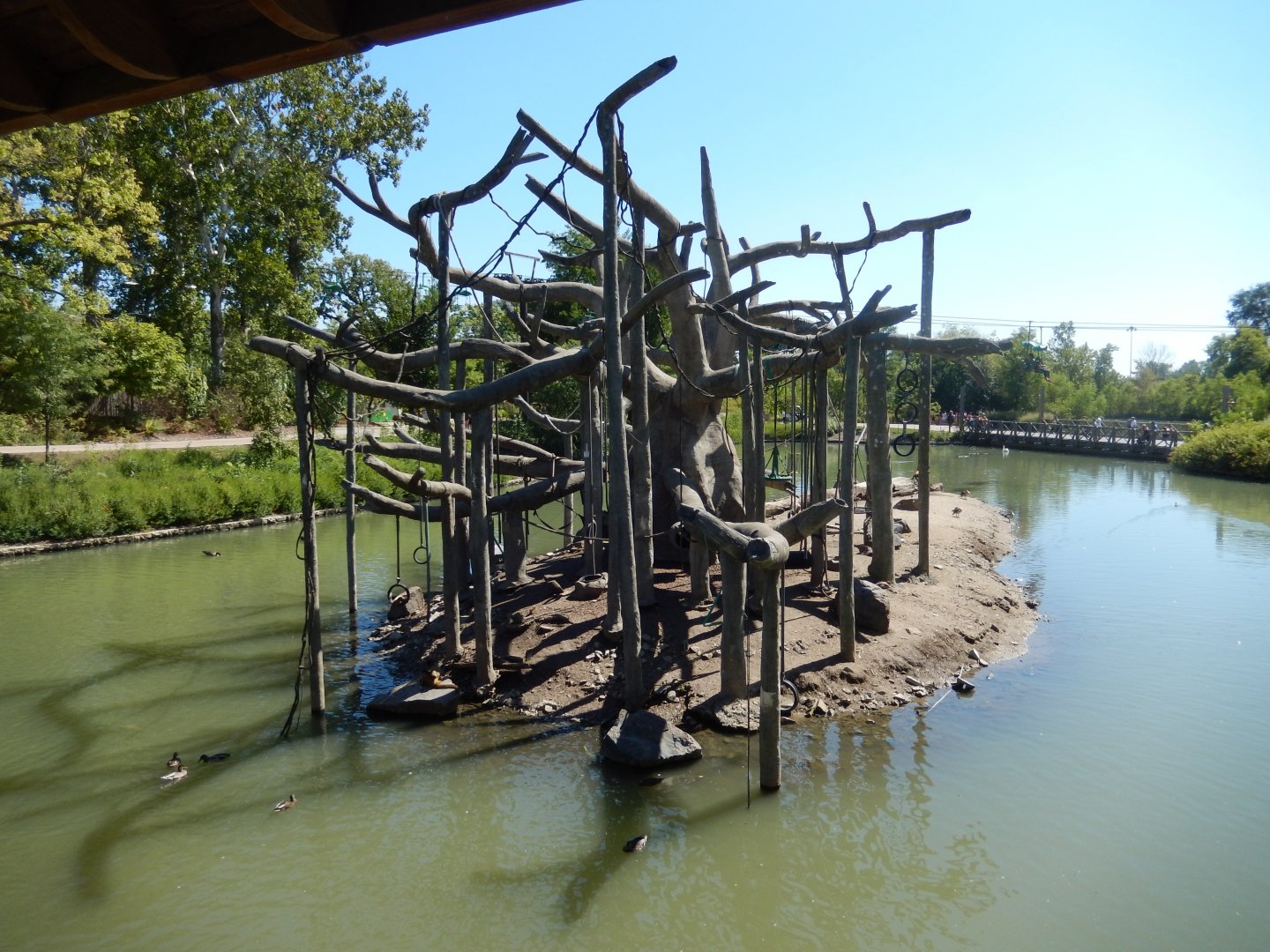 9/13/2020 - Spider Monkey Island