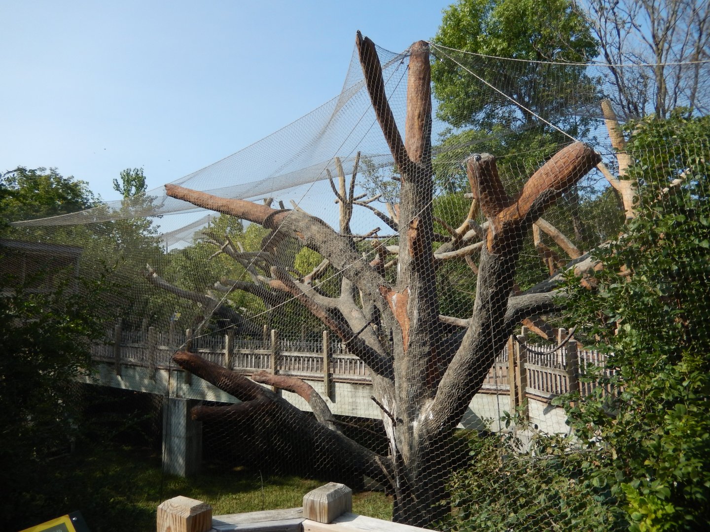 9/13/2020 - Walkthrough Lemur Habitat