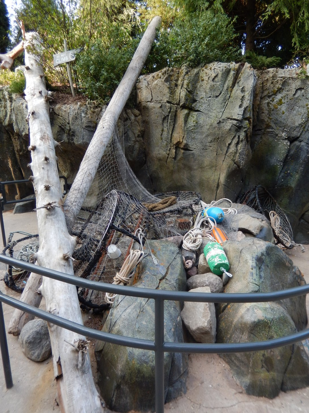 9/13/2020 - Washed Up Debris