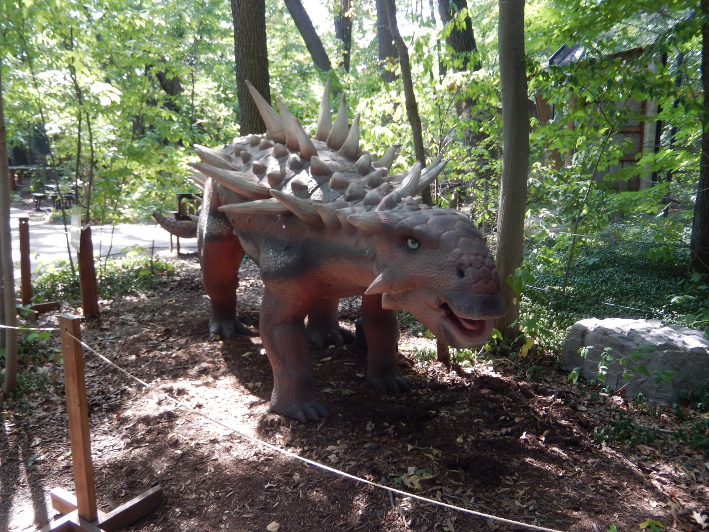 9/13/2024 - Edmontonia (?)