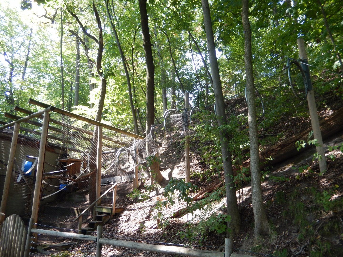 9/13/2024 - Howler Monkey Exhibit - Mesh Tunnel Extension