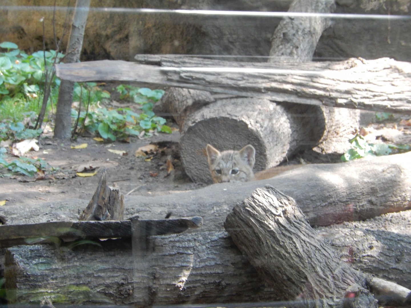 9/13/2024 - I See You!