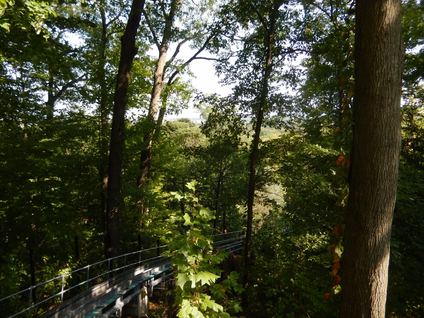 9/13/2024 - Looking Down the Funicular Trail