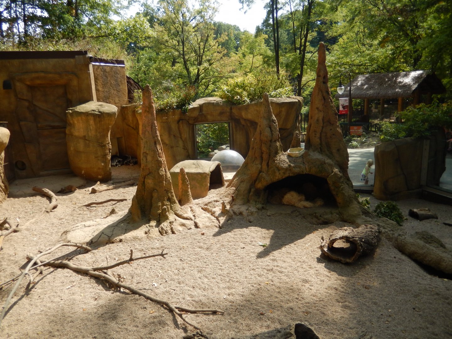 9/13/2024 - Meerkat & Cape Porcupine Habitat