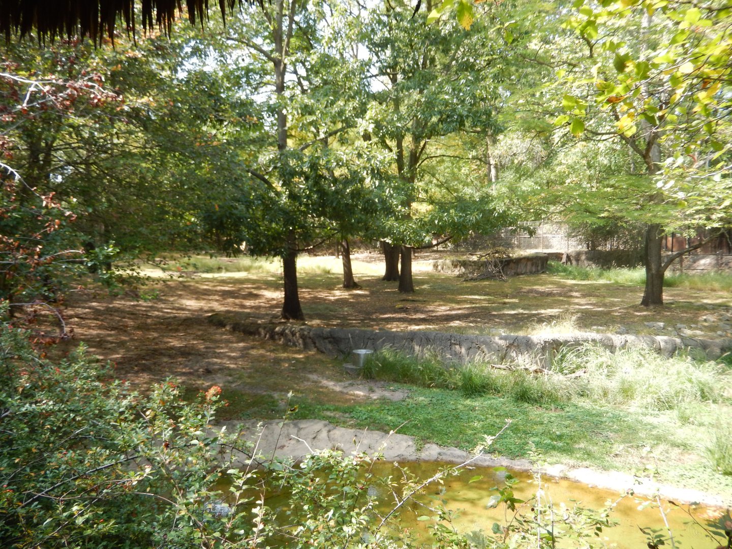 9/13/2024 - Mixed-Species Habitat