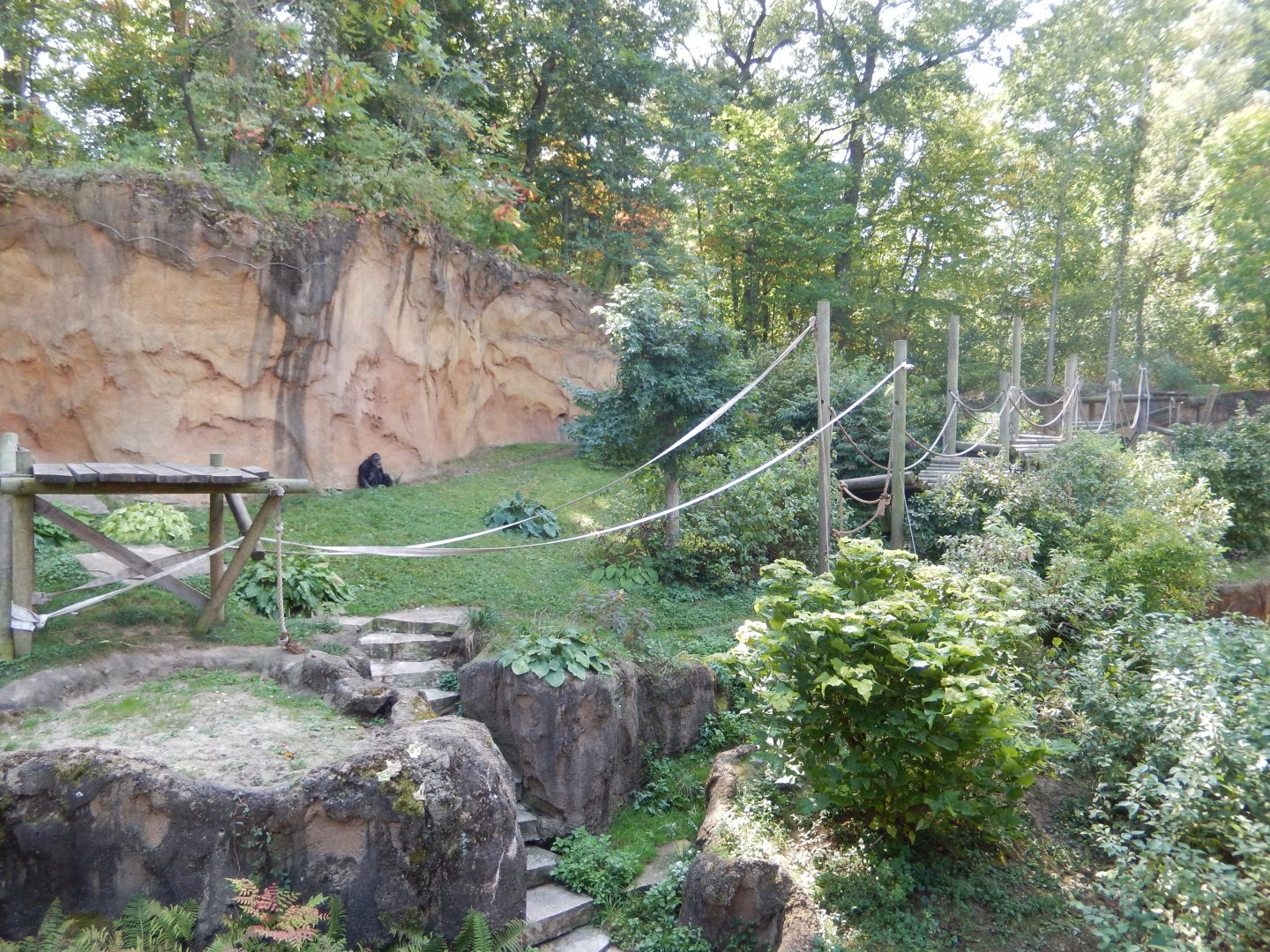 9/13/2024 - Mokomboso Valley (First View)