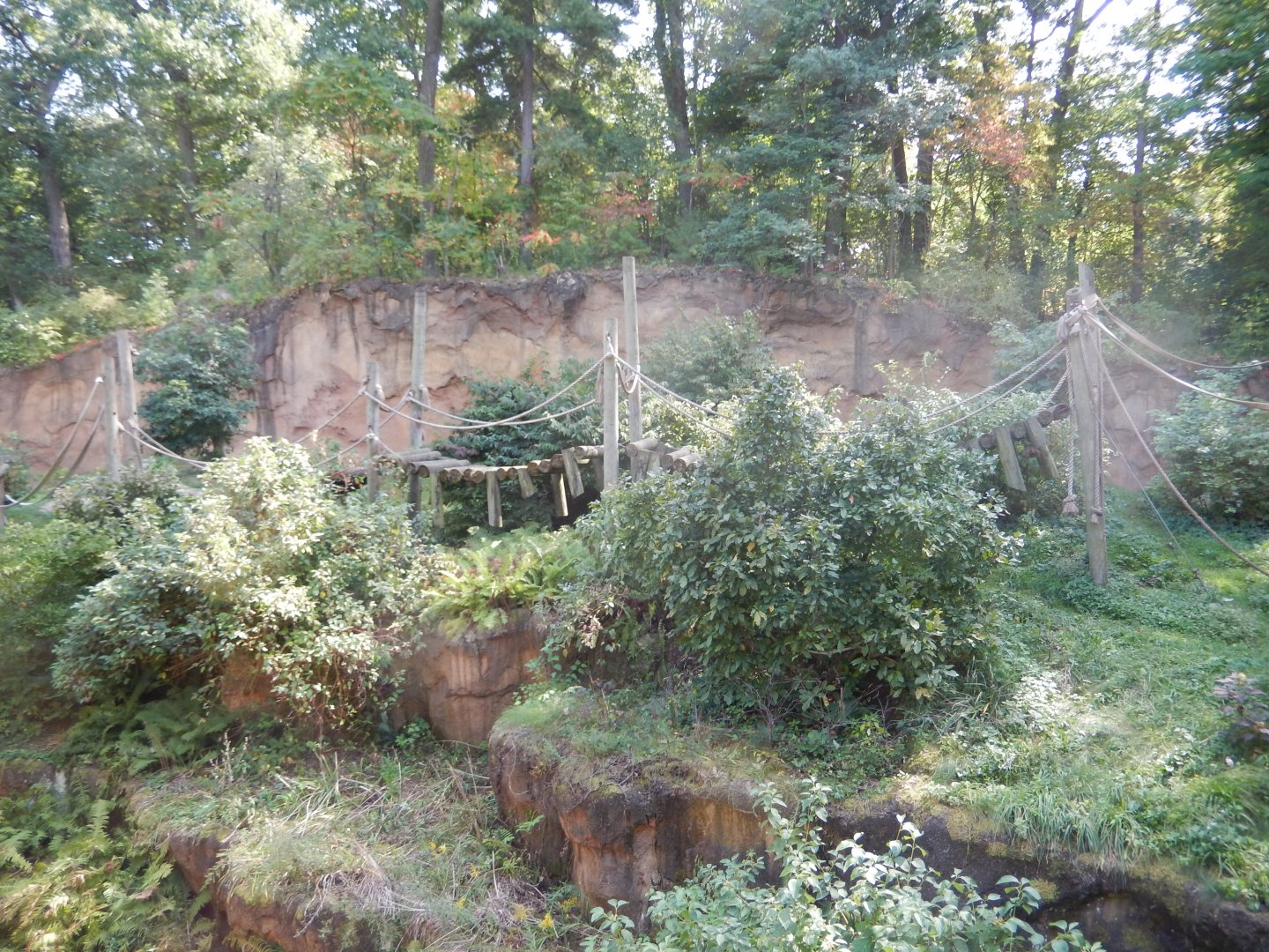 9/13/2024 - Mokomboso Valley (Second View)