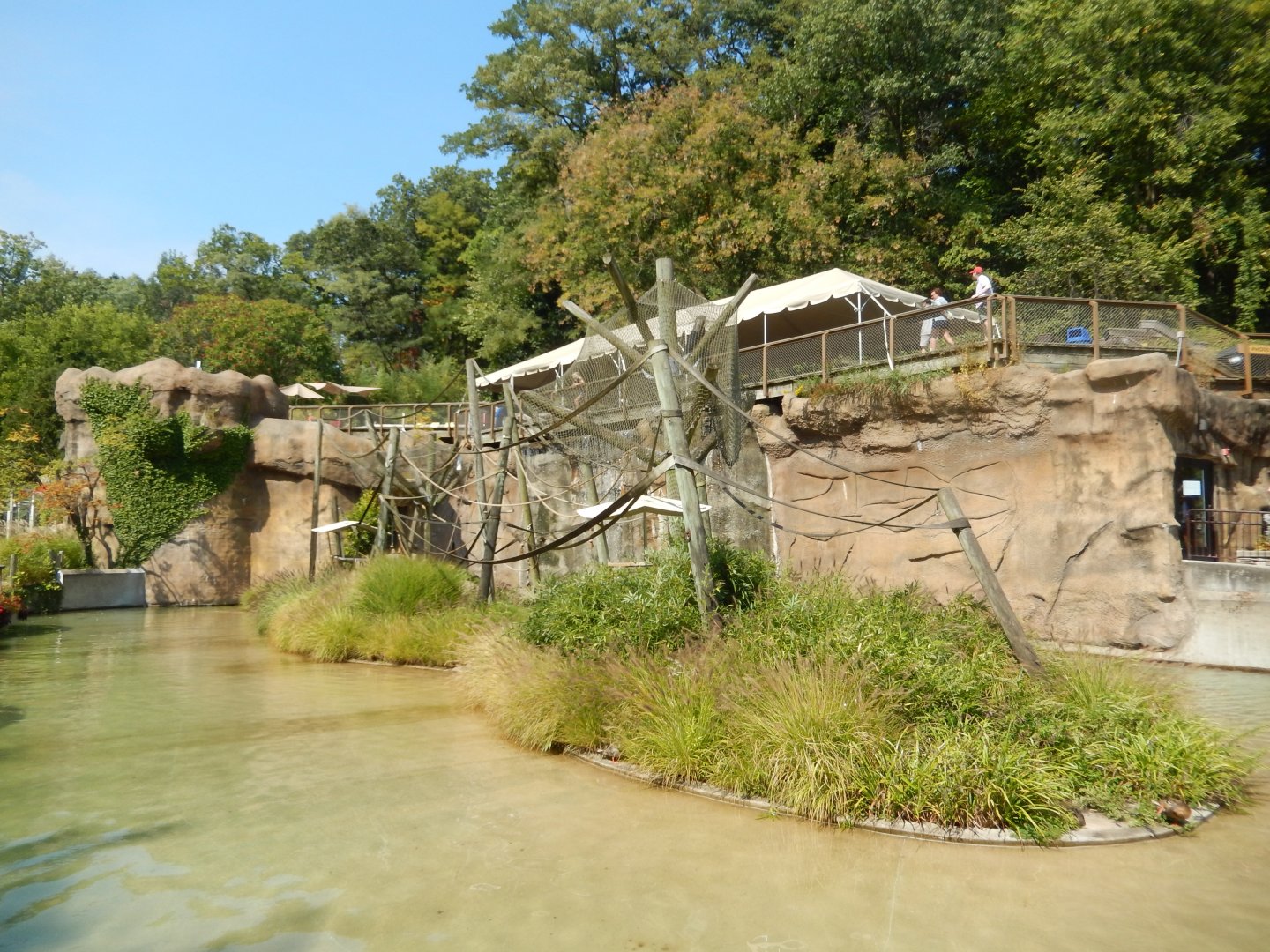 9/13/2024 - Monkey Island