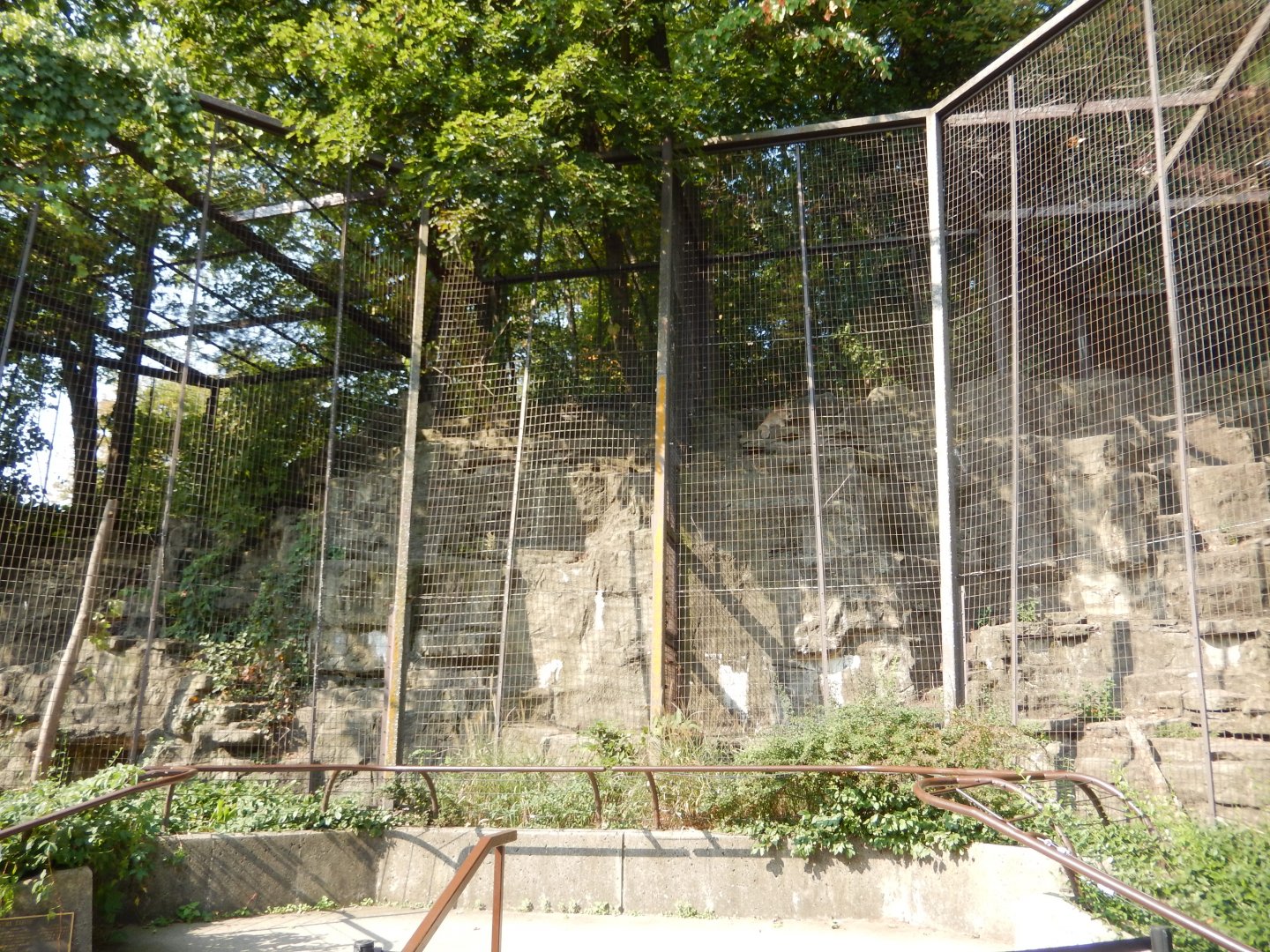 9/13/2024 - Mountainous Cages for Mountainous Cats