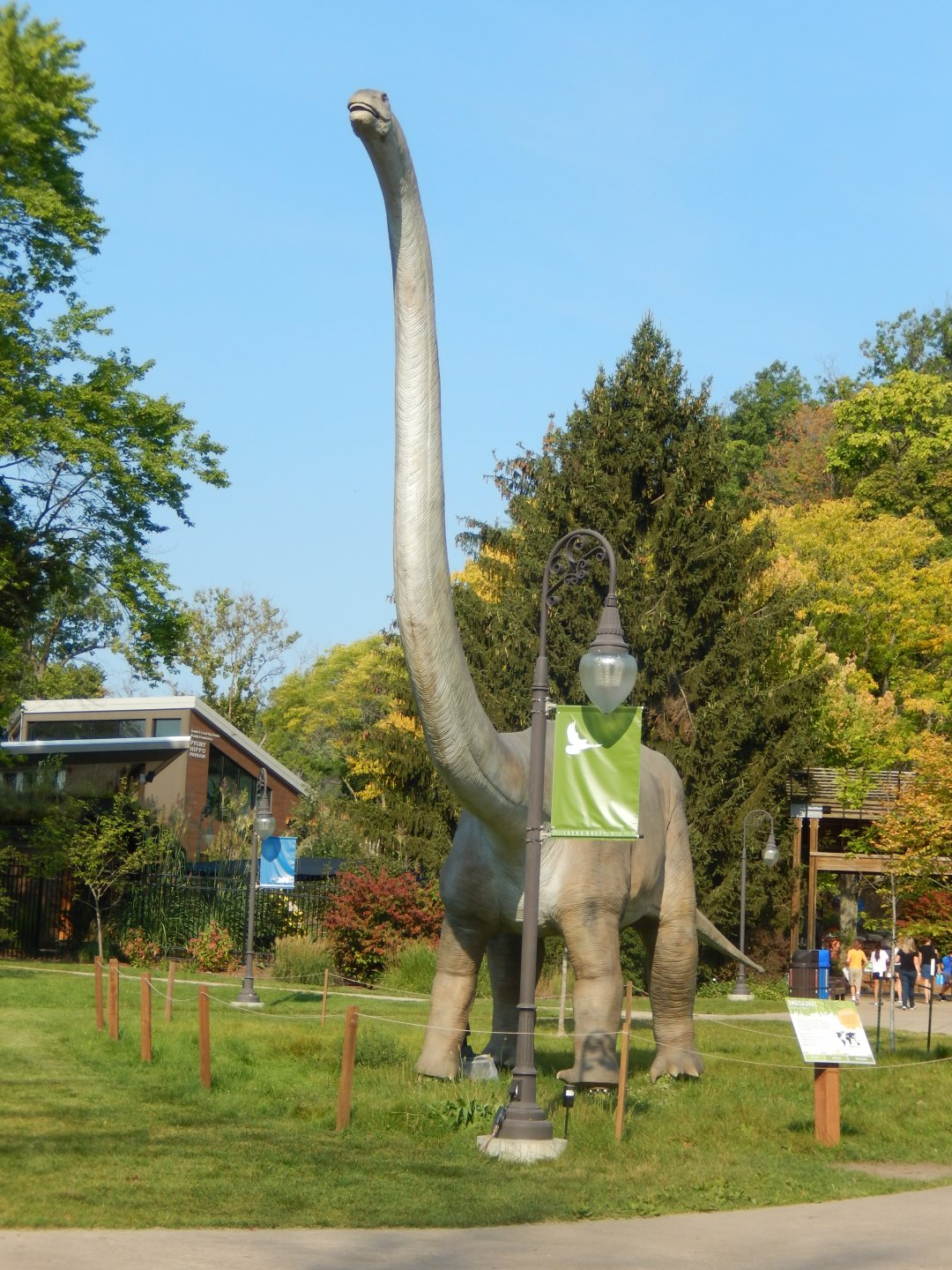 9/13/2024 - Omeisaurus