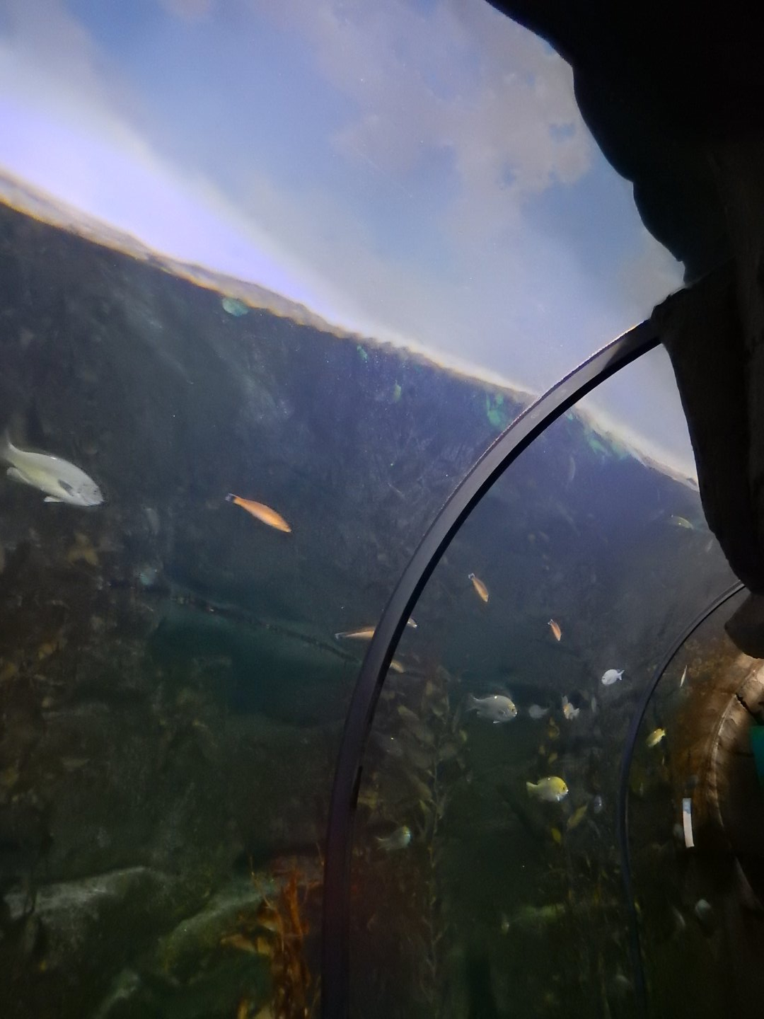 9/13/2024 - Pacific Northwest Tank