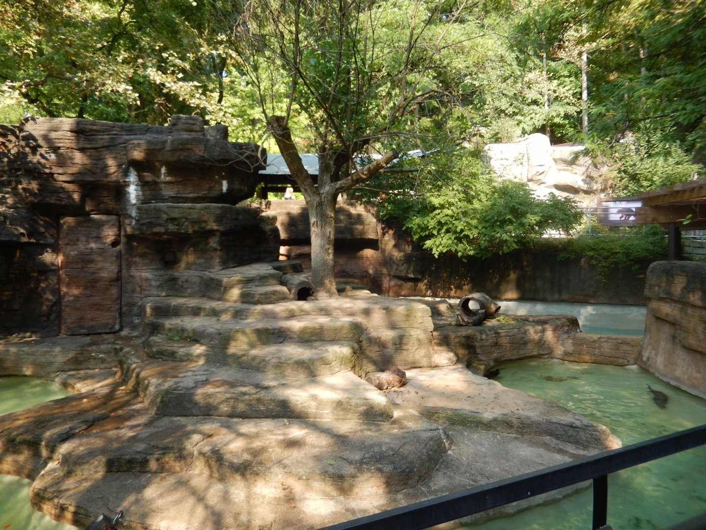 9/13/2024 - River Otter Exhibit