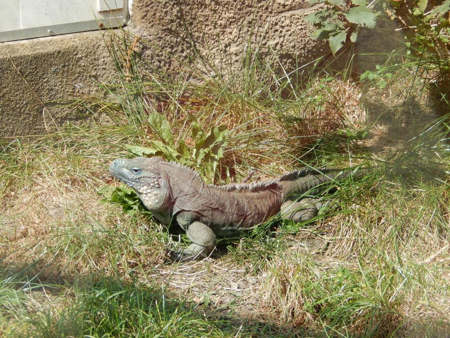 9/13/2024 - Soakin' Up the Sun