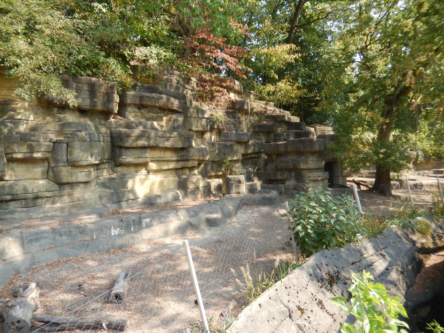 9/13/2024 - South American Exhibit (Right Half)