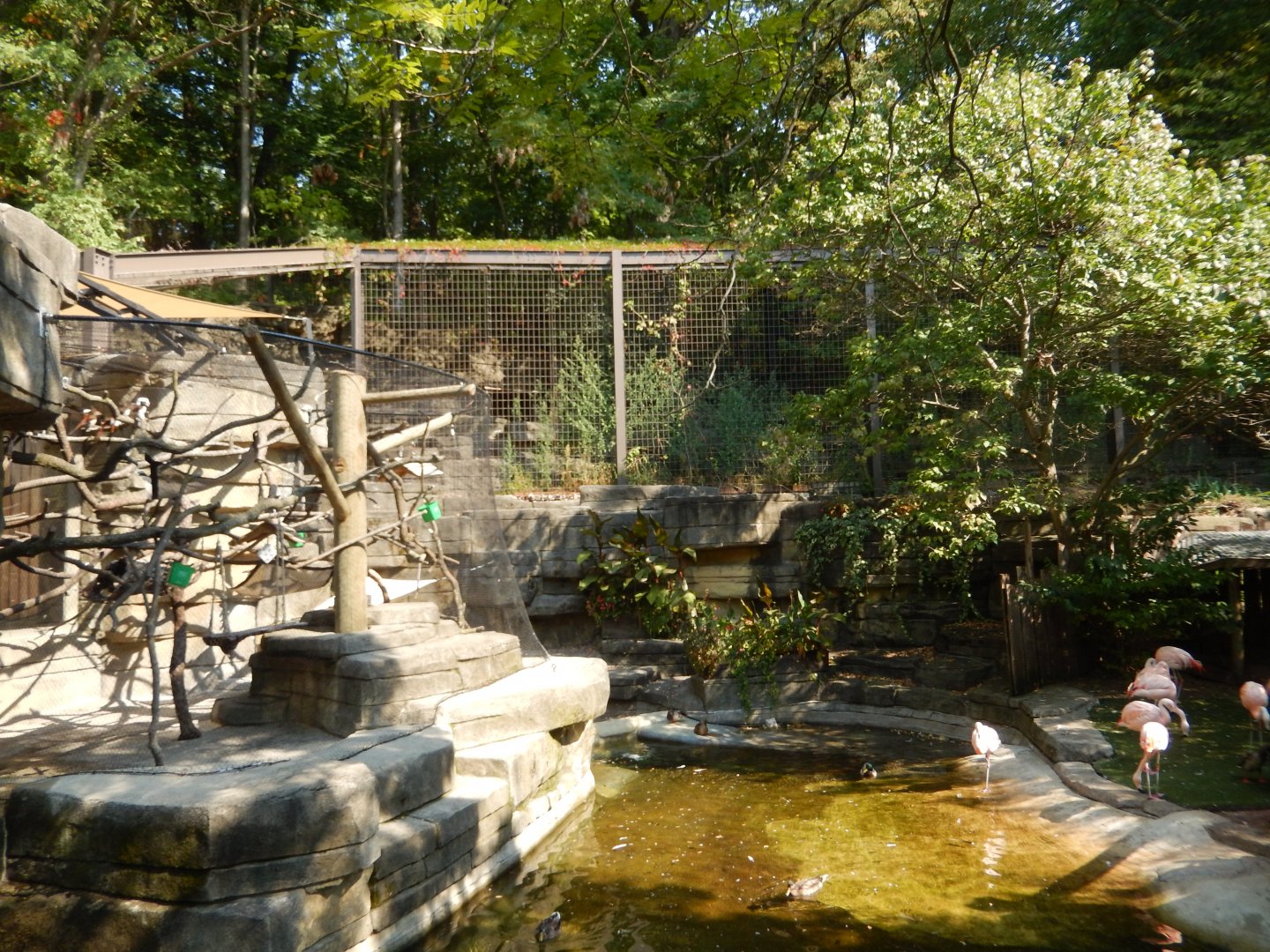 9/13/2024 - South American View