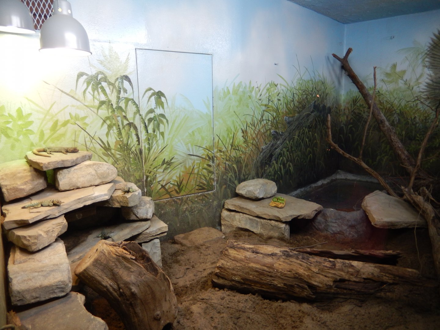 9/13/2024 - Terrarium