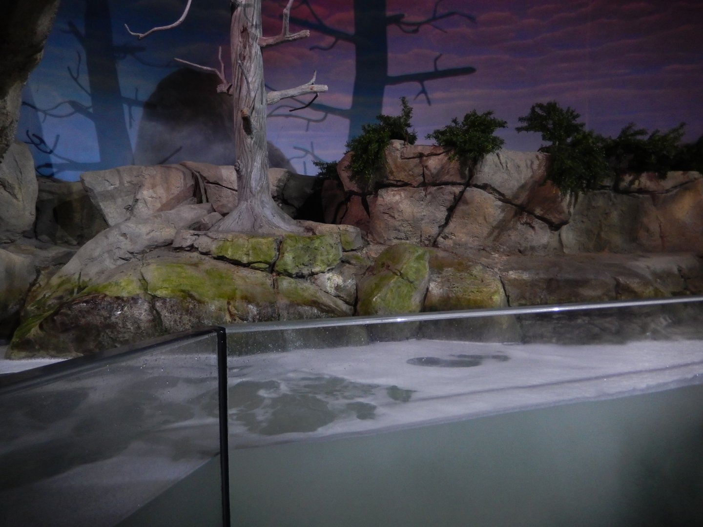 9/13/2024 - Tide Pool