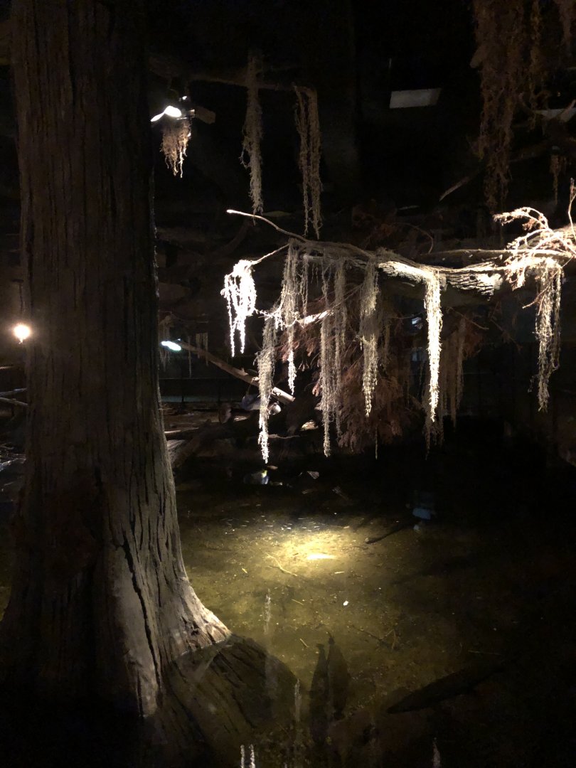 9/14/2020 - Another View of The Swamp