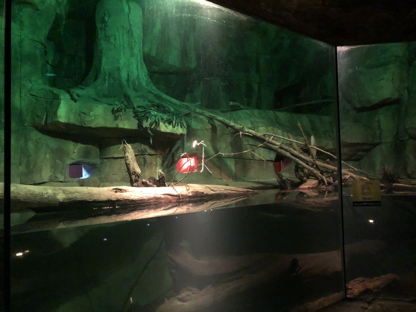 9/14/2020 - Australian Reptile Habitat