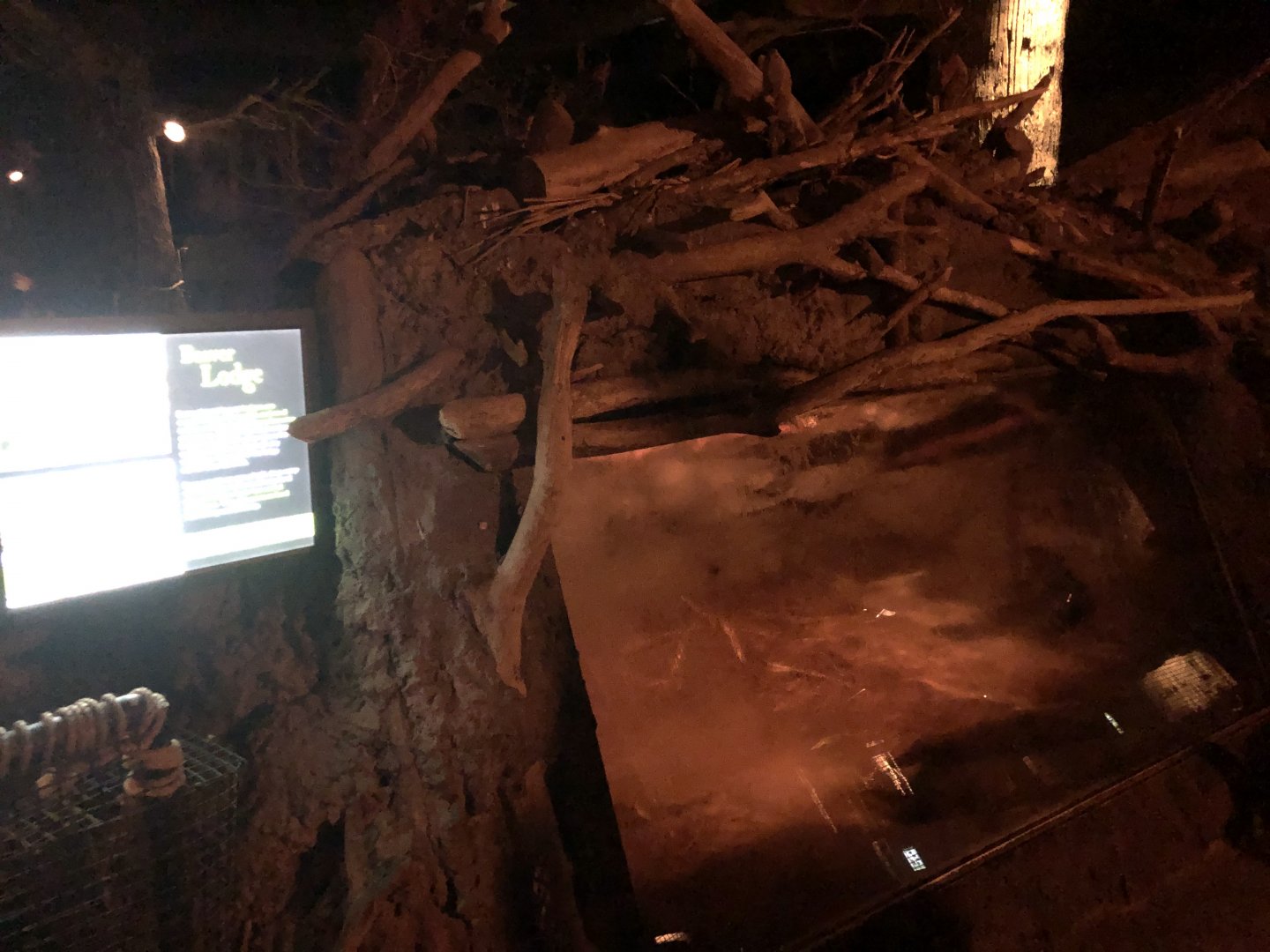 9/14/2020 - Beaver Lodge