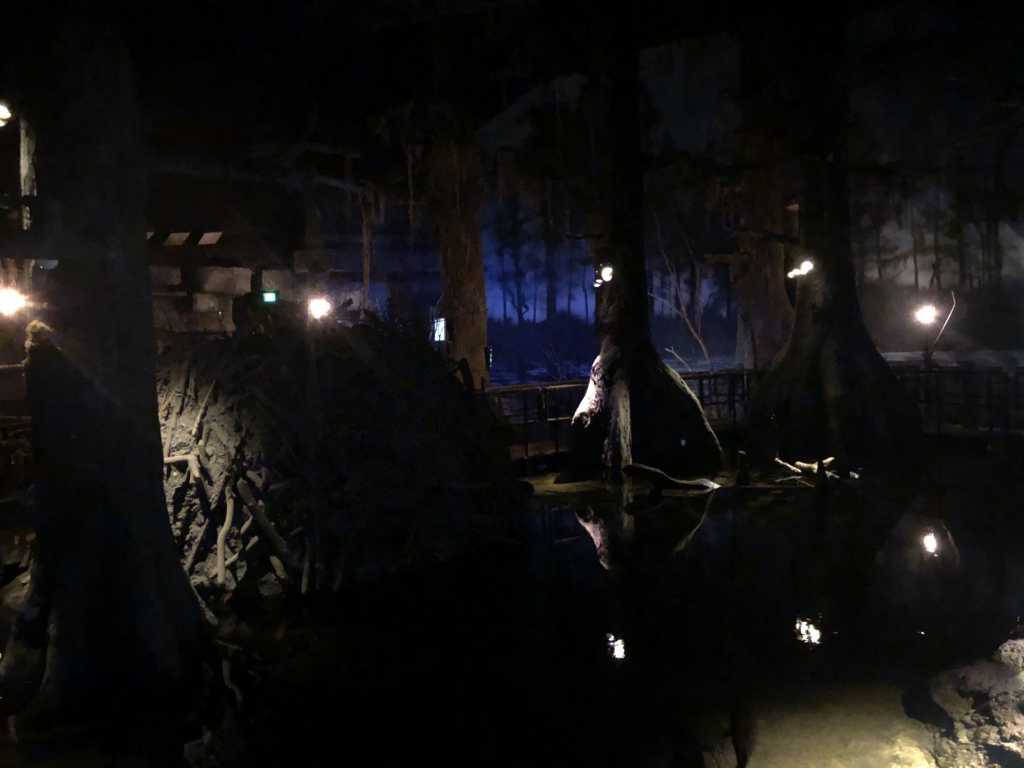 9/14/2020 - General View of The Swamp