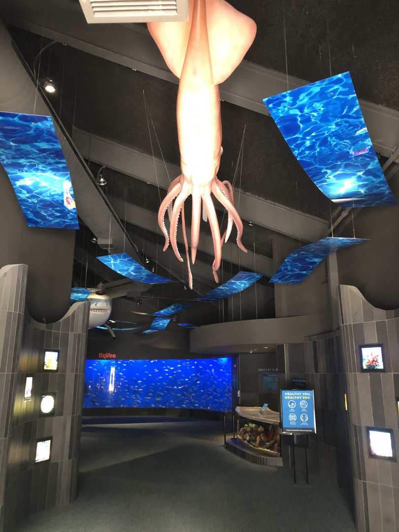 9/14/2020 - Giant Squid Model
