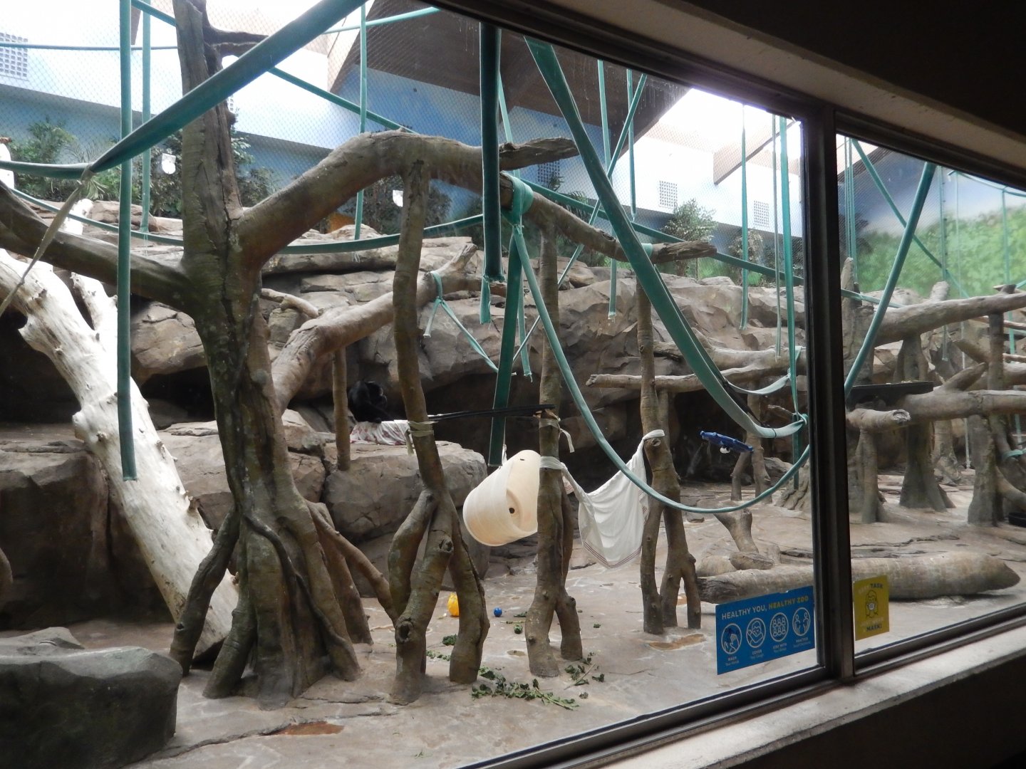 9/14/2020 - Indoor Primate Exhibit